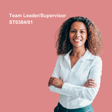Team Leader/Supervisor ST0384/01